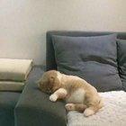 His bike just crashed