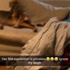 This definitely belongs here