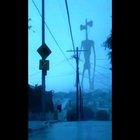 Does this count as cursed