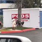 Charging ports now have security