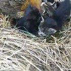 I did not expect that.