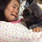 Don’t cry little human, im here..