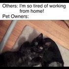 There's no shortage of cute with cats around