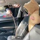 Hand me the keys child.