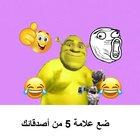 shreky dancey bruh moment