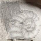 We exist in many form, Jon