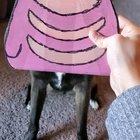 Please help, I think there's something wrong with my Lickitung