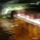 Primită pe WhatsApp, citiți prezentarea în engleză, foarte frumoasă!