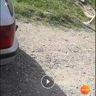 Rodditor cautand moderator pe WAGTHRO