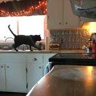 How to play it cool after a catculation