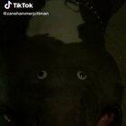 MaN tRyS To GeT aLliGaToR tO BiT hIs HaNd OfF