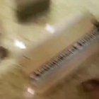 What boys really do in the bathroom