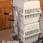 Parrot mimics a baby's cry to get attention