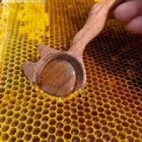 Extracting honey from the honeycombs